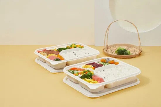 Disposable Food Container Wholesale Cornstarch Surgarcane Bagasse Storage Biodegradable Bento Take Away Fast Lunch Box with Lid